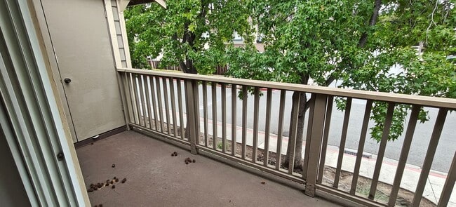 Building Photo - Modern 1BR/1BA Condo Available Now