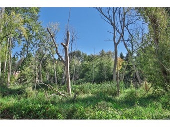 Nature Preserve Across Street - 10501 8th Ave NE