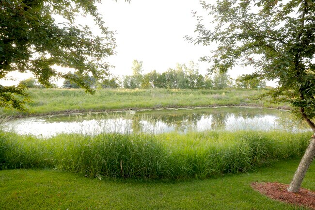 Privacy and Beautiful Pond View Out the Back - 189 Shetland Ln