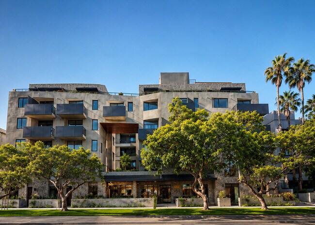 Colmena Barrington - Hive Barrington