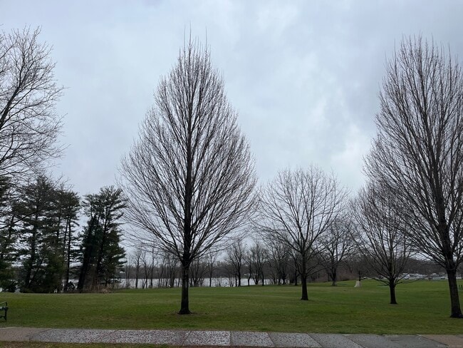 Building Photo - 253 Hartford Ave