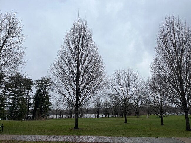 Foto del edificio - 253 Hartford Ave