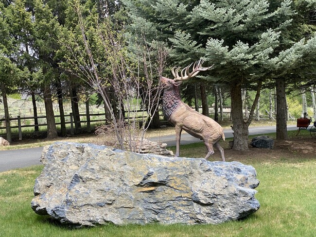Wildlife frequent the property - 93 Townsend Gulch Rd