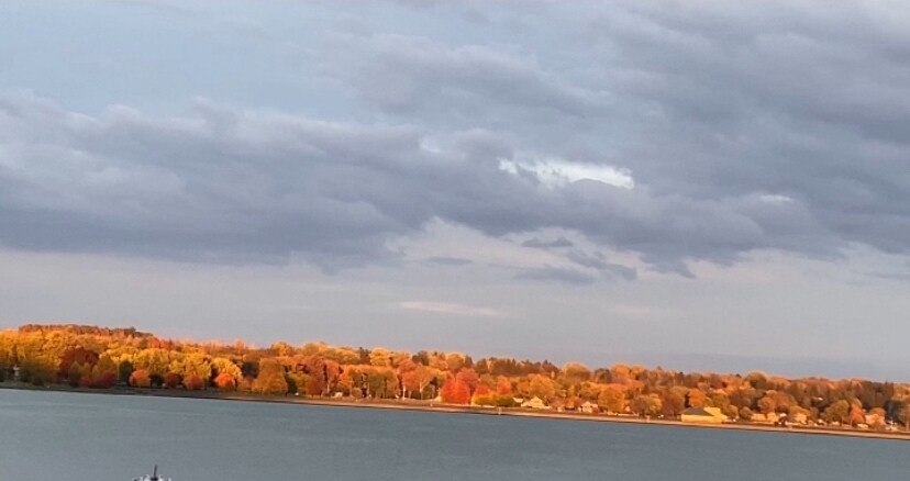 Foto principal - 2972 Holland Dr