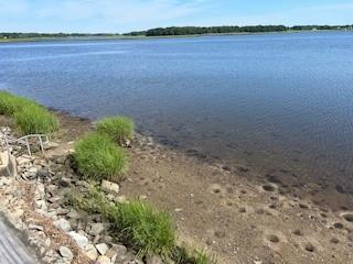 Foto del edificio - 95 Boyce Ave