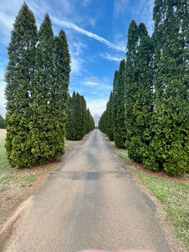 Foto del edificio - Country Living in the City*4 Bedrooms*Some...