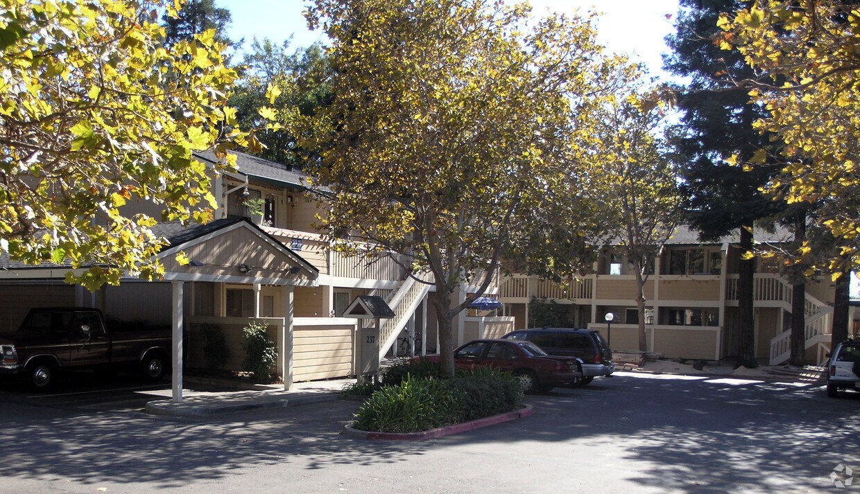 Primary Photo - Maple Grove Apartments