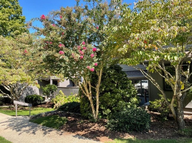 Foto del edificio - 709 Crowfields Ln