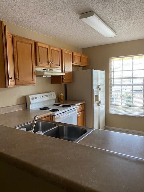 Foto del edificio - 2949 Wainwright Ct