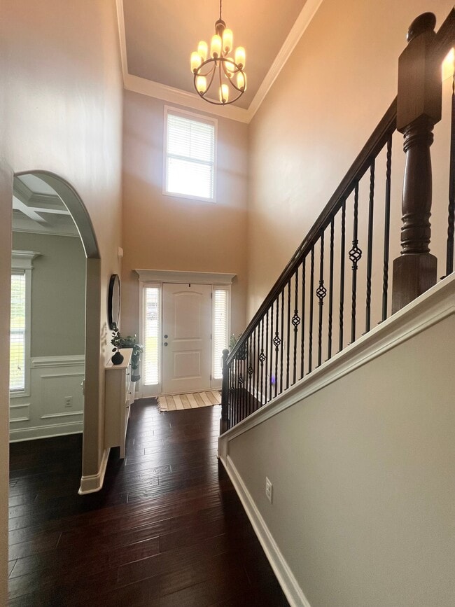 Foto del edificio - 230 Misty Valley Ln