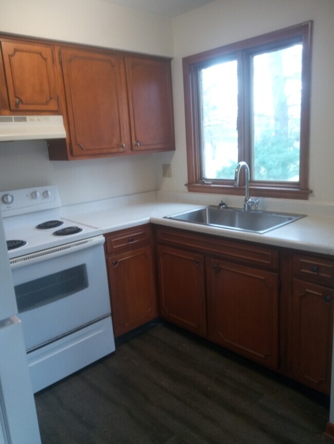 kitchen - 318 E Forest St