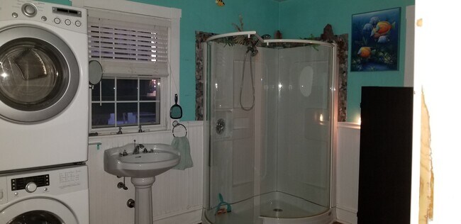 Large bathroom/shower/wash-dryer - 8 Peckham Ave