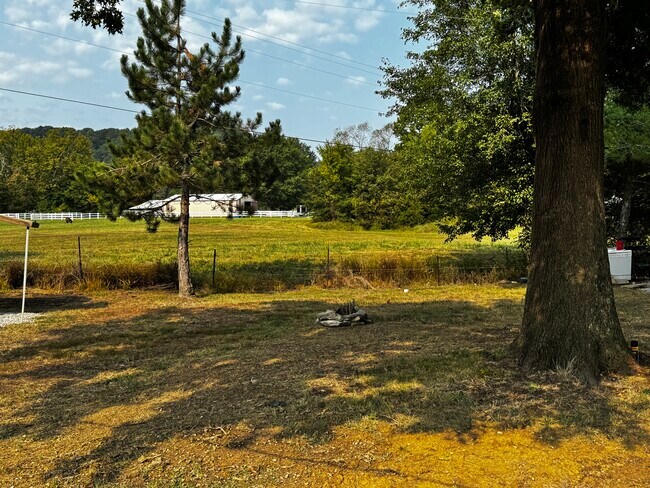 Vista de la cubierta trasera - 165 Humphrey Ln