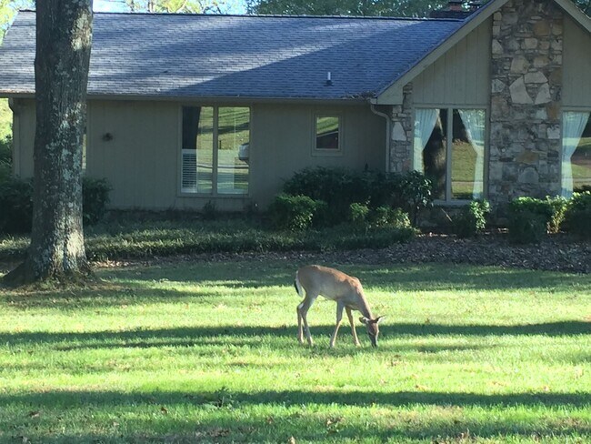 Foto del edificio - 8309 Alamo Road, Brentwood, TN 37027