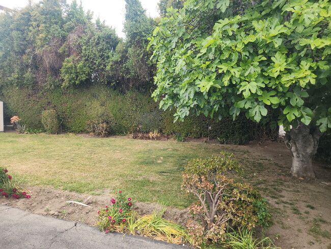 Rear garden/yard - 5618 Kester Ave