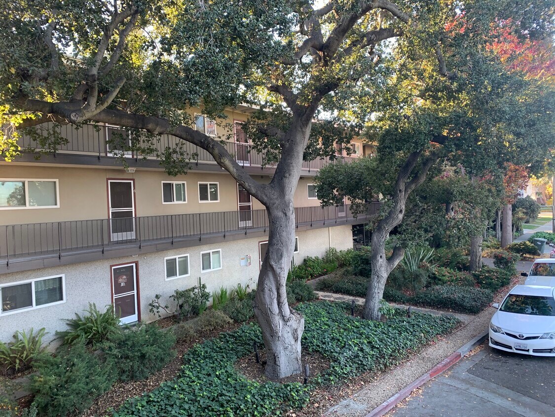 Foto principal - 840 Walnut St