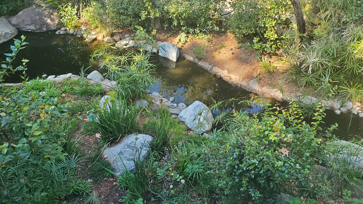 view of stream - 7131 Farralone Ave