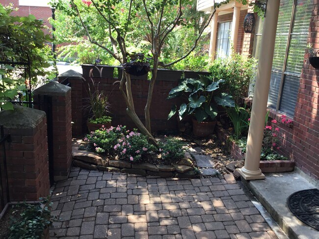 Carefree, tranquil perennial garden - 1103 Dulles Ave