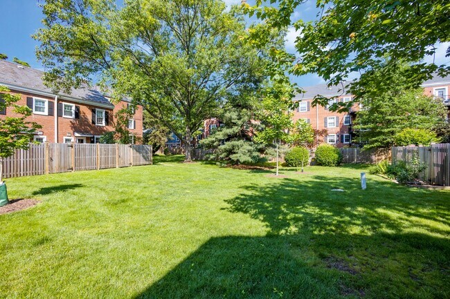 Foto del edificio - Fairlington 2 BR Condo for Rent!