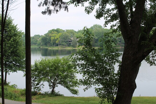 Building Photo - 255 Shoreline Rd