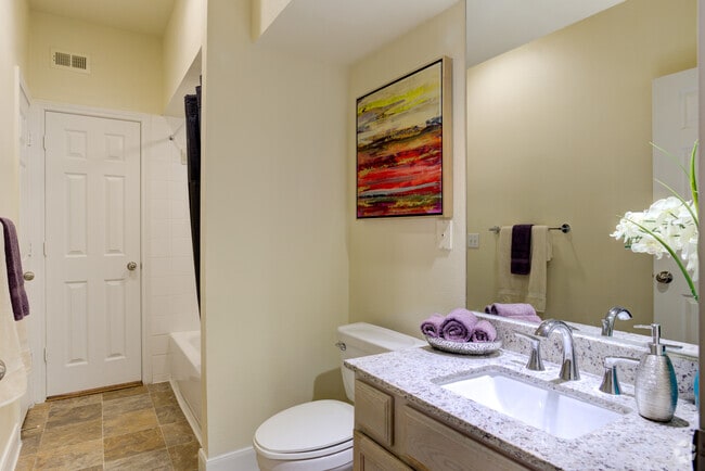 Bathroom - Village at West University