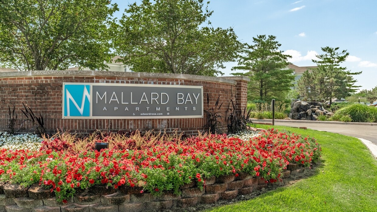 Primary Photo - Mallard Bay Apartments