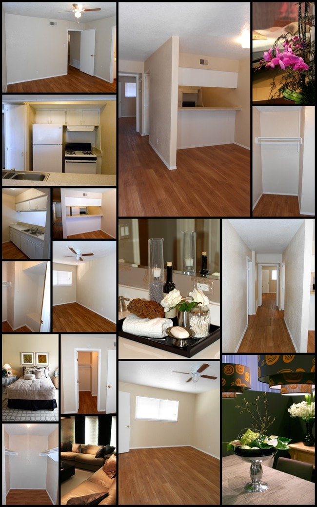 Interior Photo - Silver Springs Apartments