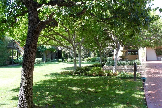 Building Photo - 252 Palmetto Dr