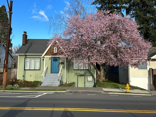 Building Photo - Remodeled 4 Bedroom Ravenna Home