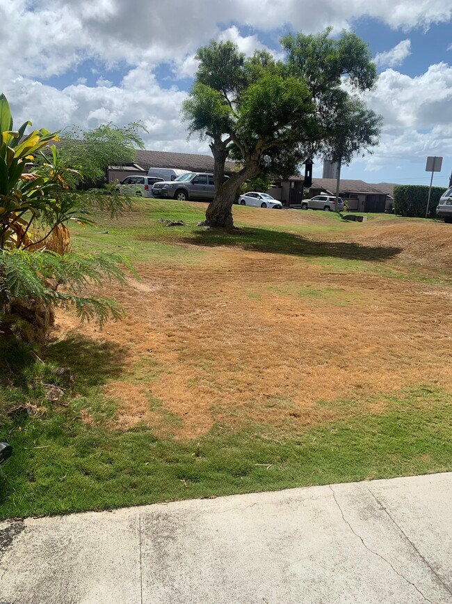 Building Photo - 1421-1421 Ka?ahumanu St