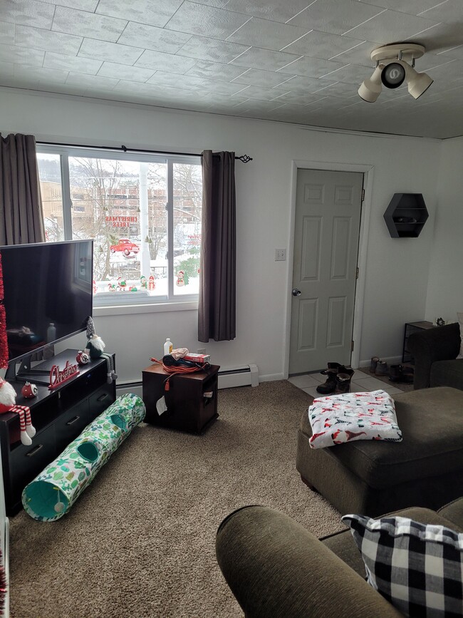 Living room - 403 Green St