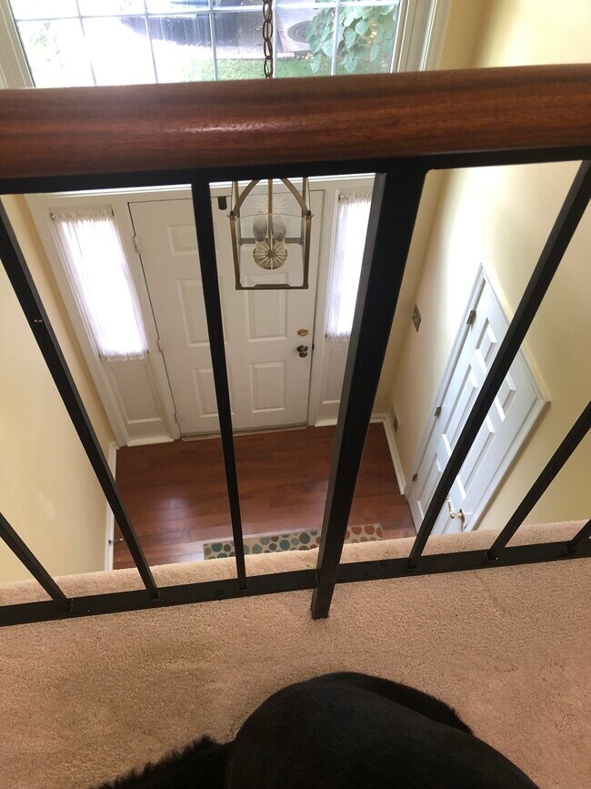 Foto del edificio - 11711 Stillbrook Ct