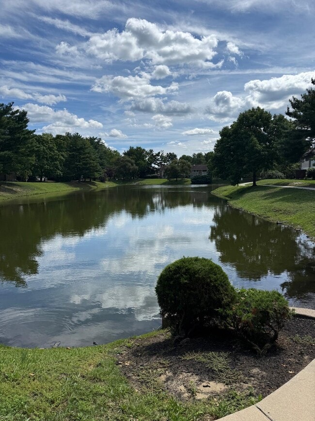 Back yard with lake view - 149 Echelon Rd