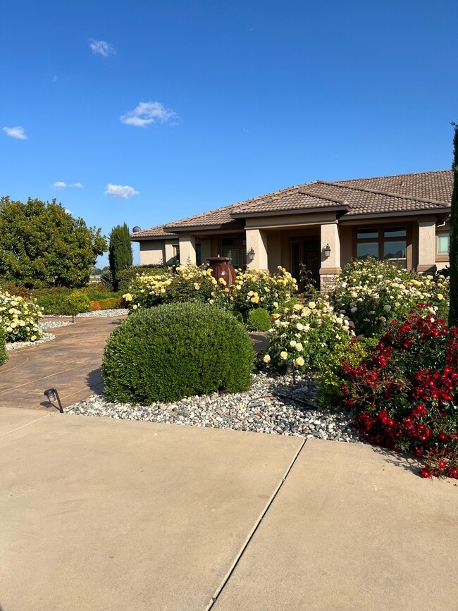 Building Photo - 9839 Trailhead Ct