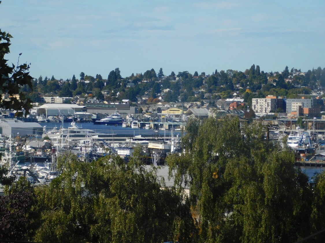 Primary Photo - 3608 14th Ave W