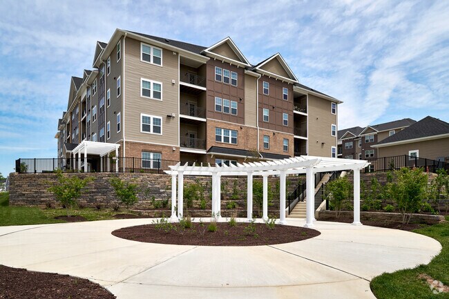 Gatherings at Cabin Branch