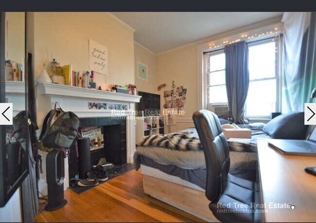 Building Photo - 72 Egmont St