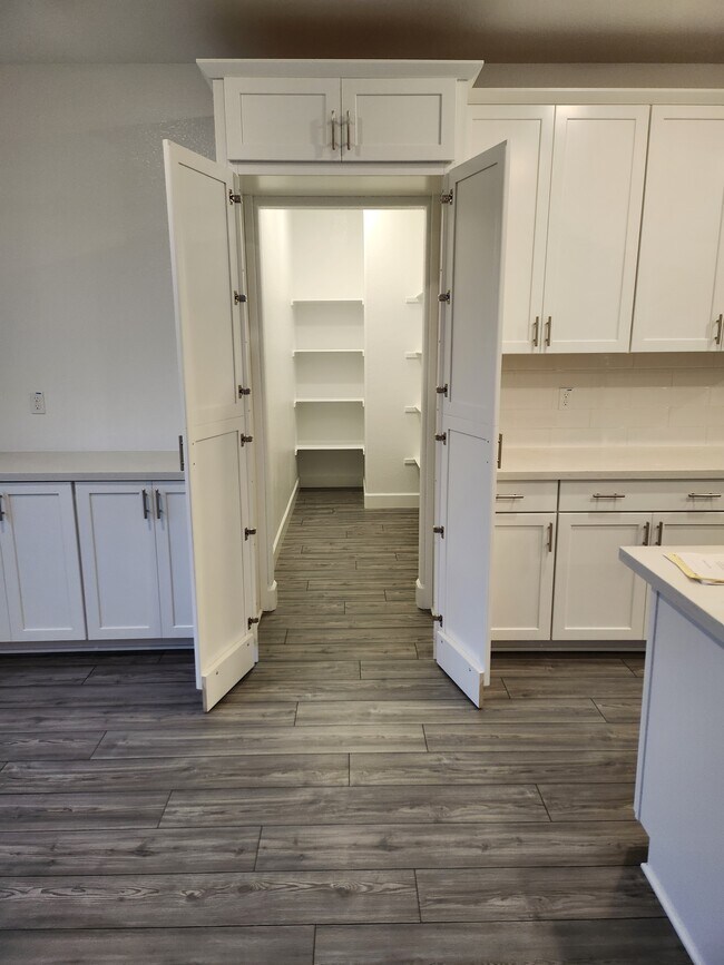 Walkin Pantry - 1041 Mambo Way