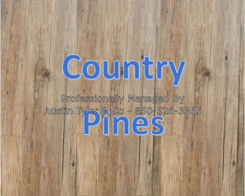Primary Photo - 2424 Country Pines Ln