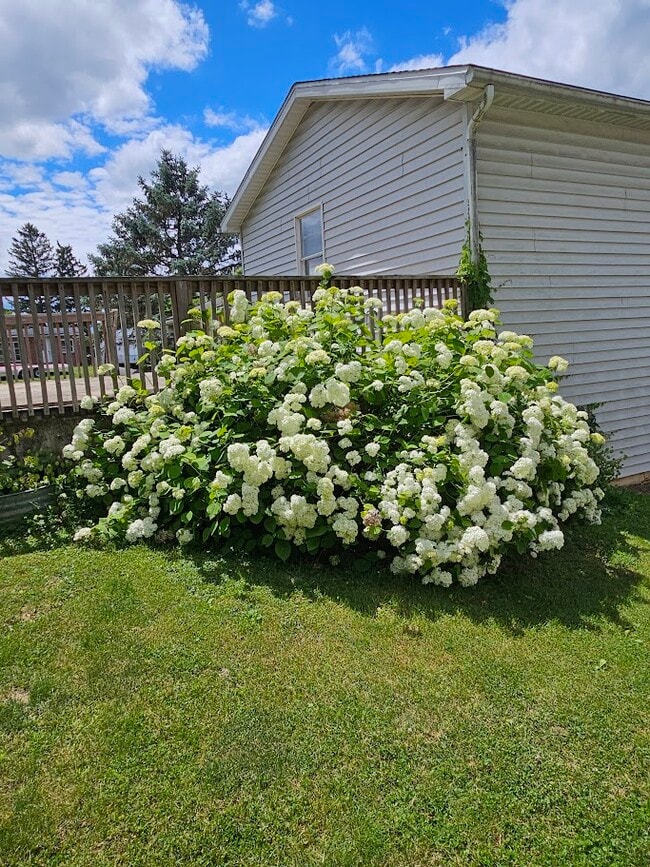 Foto del edificio - 100 Kuhns Ln