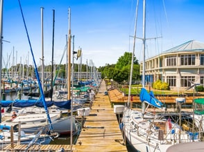 Building Photo - 6112 Harbourside Dr