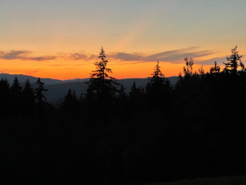 Foto principal - 276 Alpenridge Rd