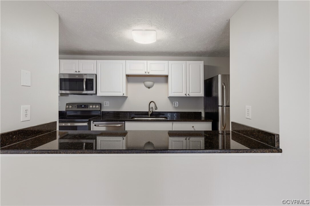 8418 O'Bannon Ct Unit 1006, Richmond, VA 23228 Condo for Rent in