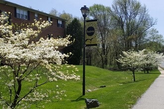 Building Photo - Brandywine Apartments