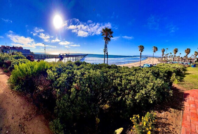 Building Photo - Remodeled 1-Bedroom Cottage with Ocean Views — Steps to Ocean Beach Pier