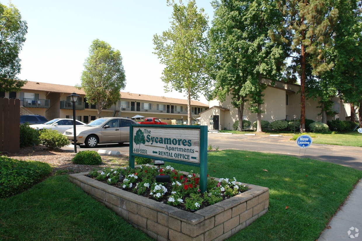 Primary Photo - The Sycamore *Move in Specials*