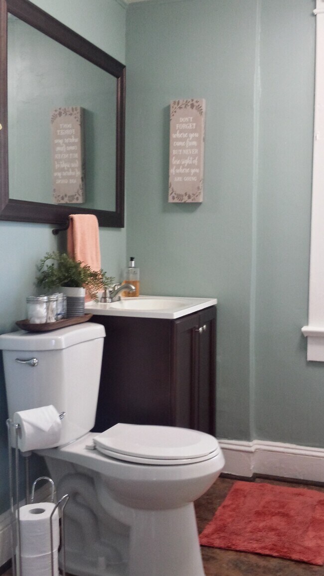 Updated En Suite Bathroom - 319 E Glenwood Ave