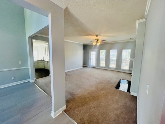 Foto del edificio - 2117 Elderberry Dr