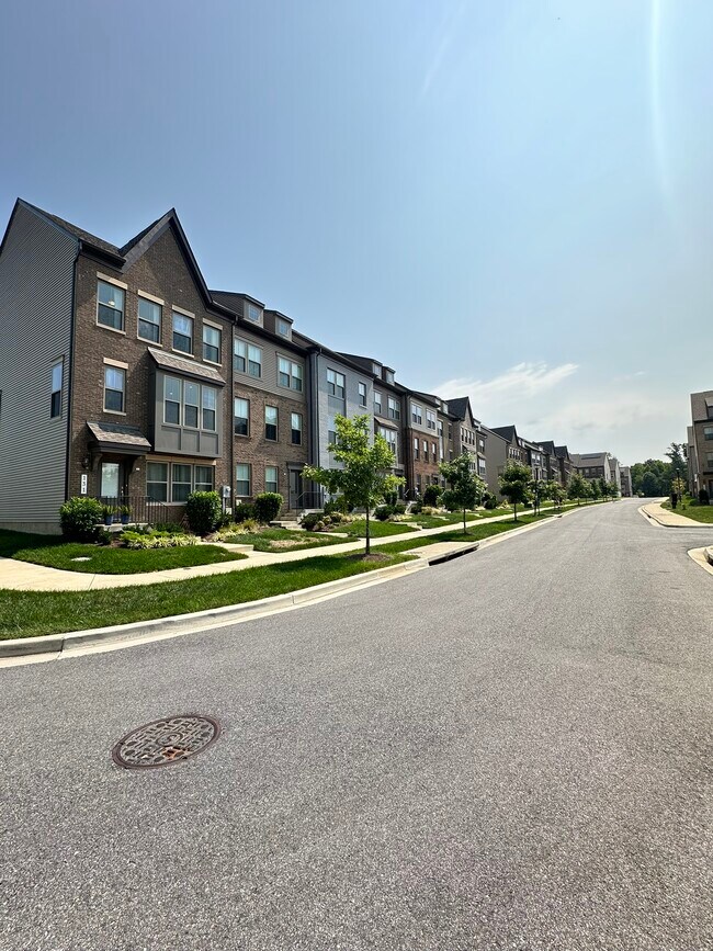 Building Photo - 131 Albany Pl