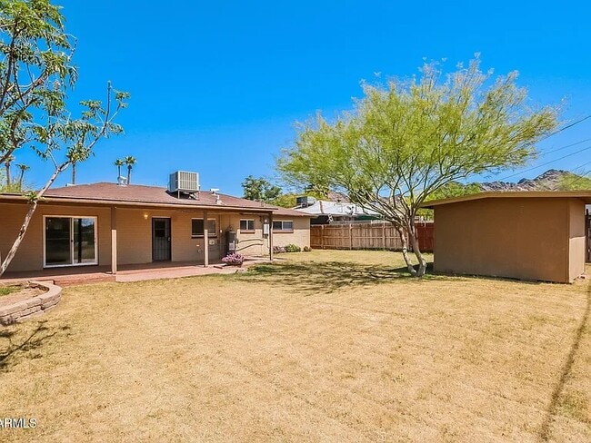 Backyard - 1323 E Carol Ave